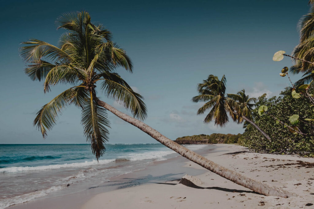 Graduación Paradise 2026 – Playa del Carmen